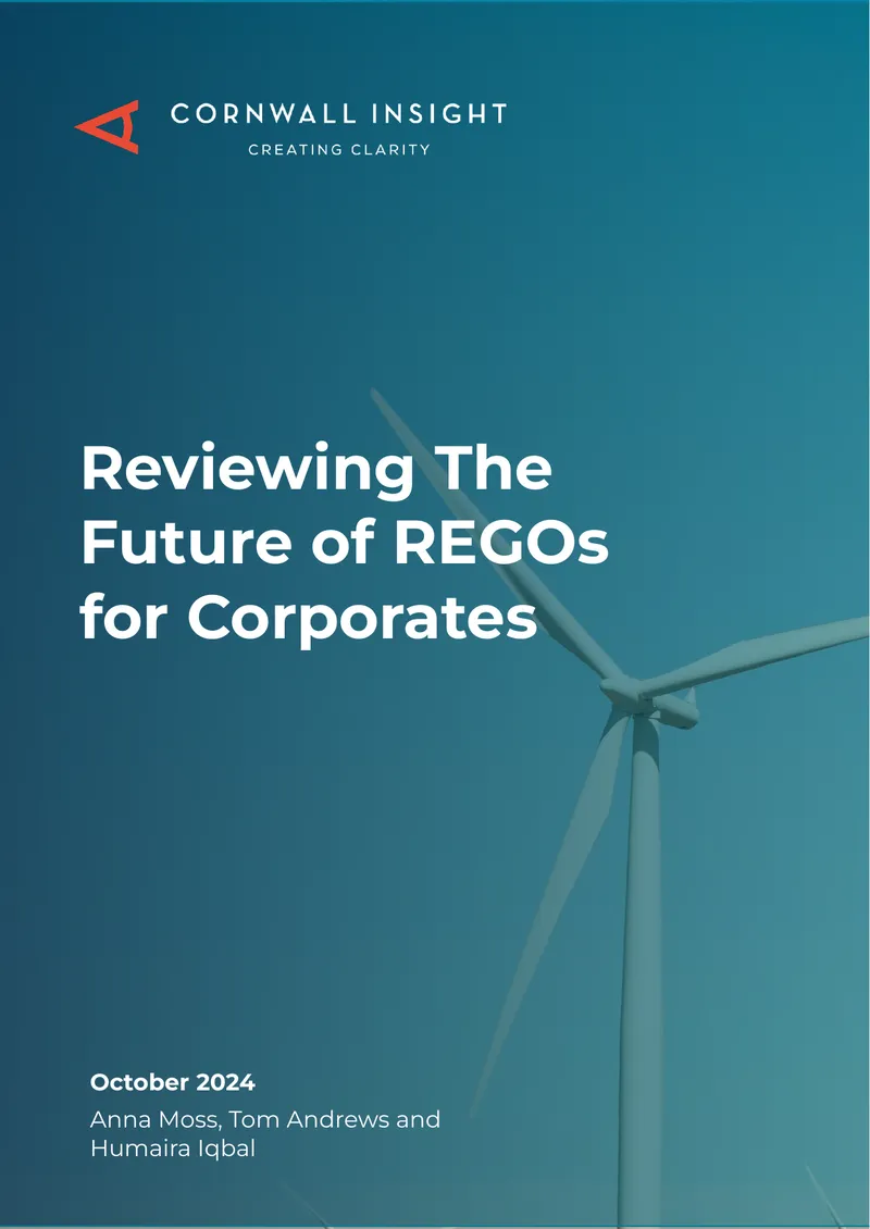 Renewable Energy Guarantees of Origin Review for Corporates