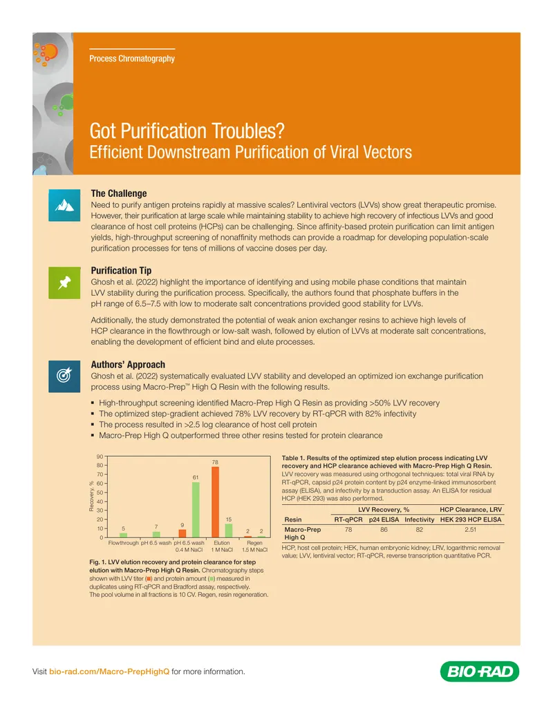 Efficient Downstream Purification of Viral Vectors
