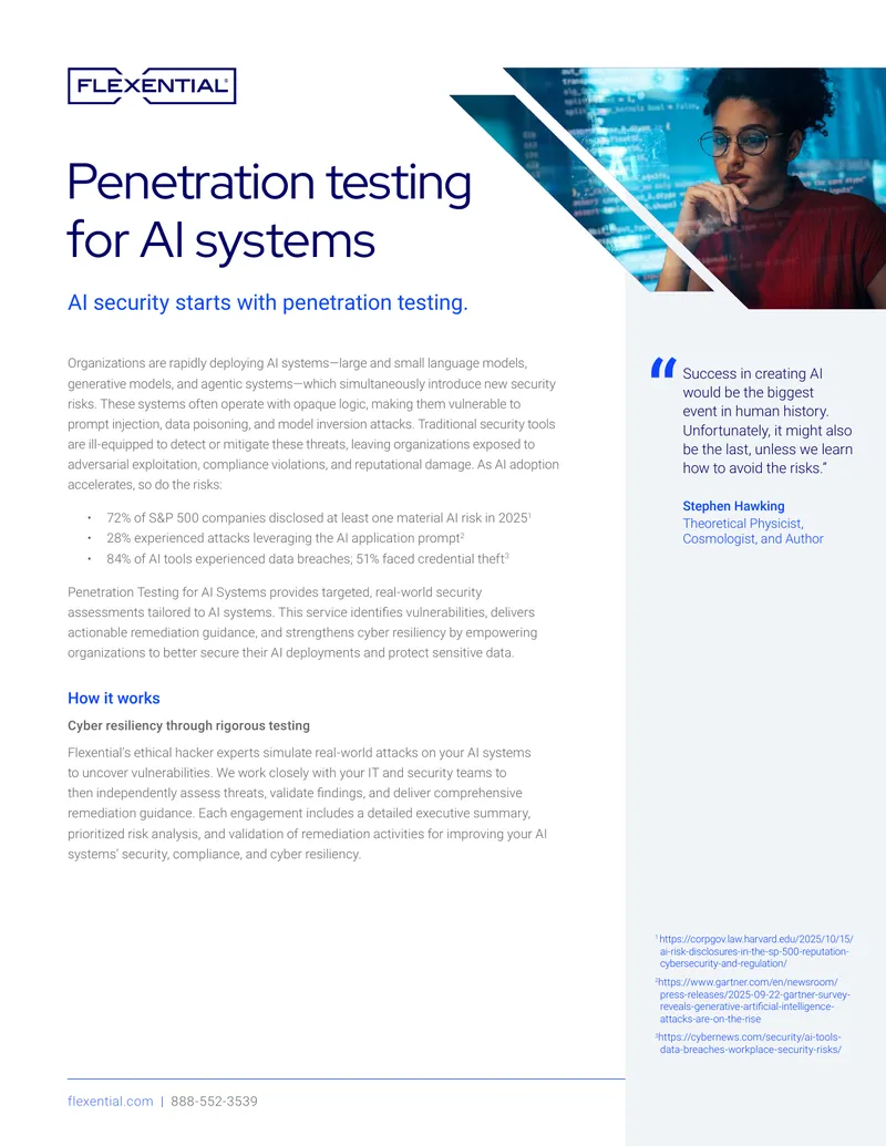 Penetration Testing for AI Systems
