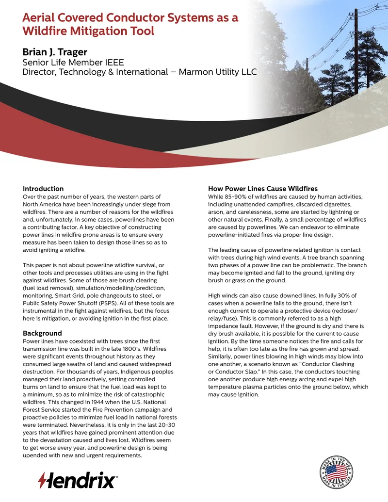 Wildfire Mitigation Strategies for Power Lines