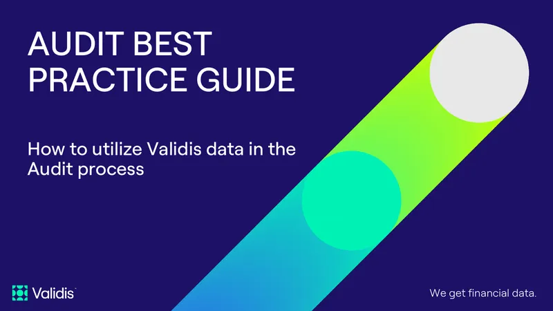 Audit Best Practice Guide for Validis Data Utilization