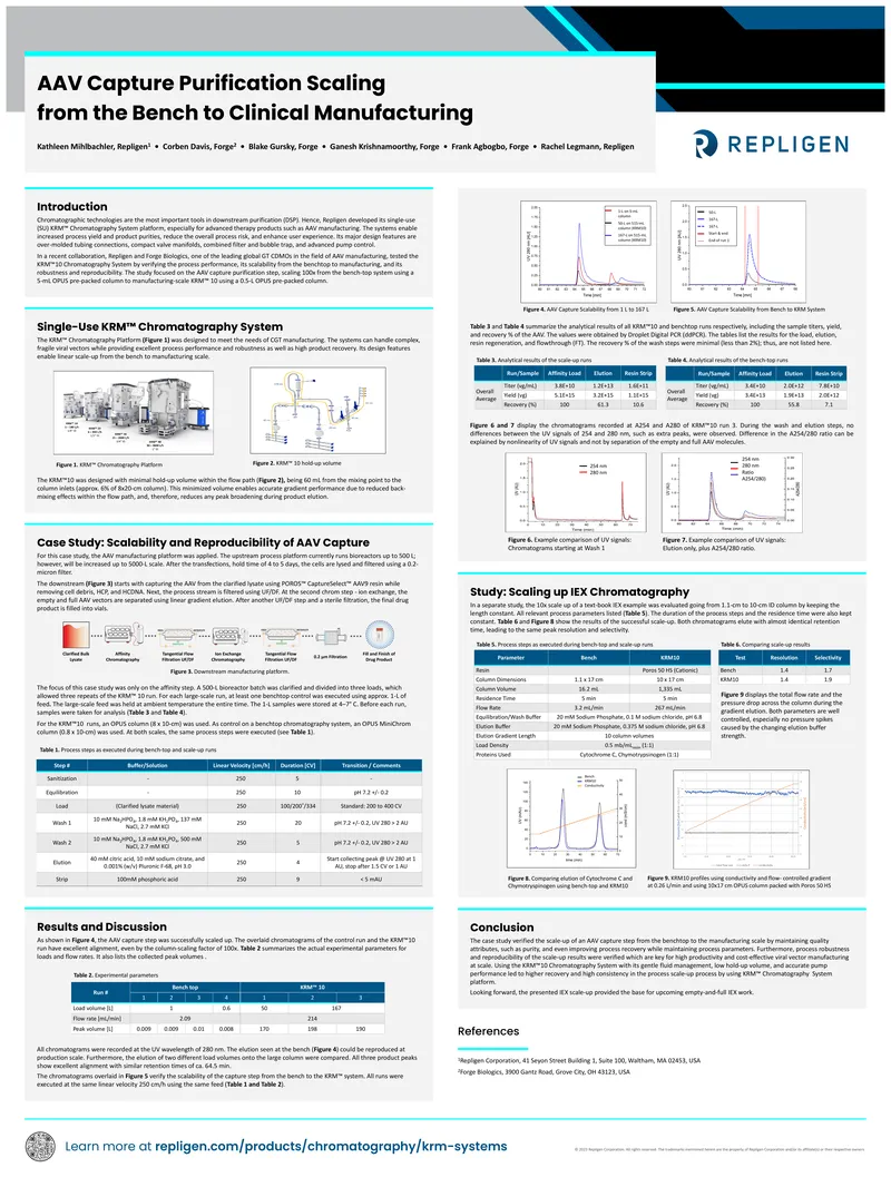 AAV Capture Purification Scaling Case Study