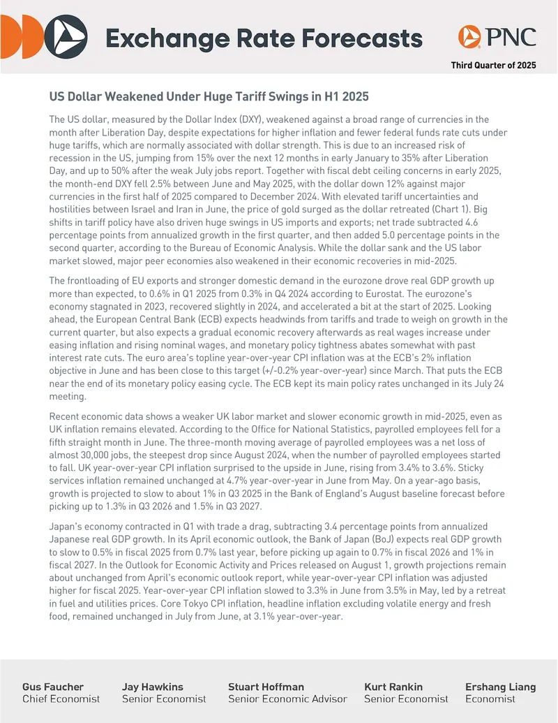 Economic Outlook and Currency Forecast for 2025