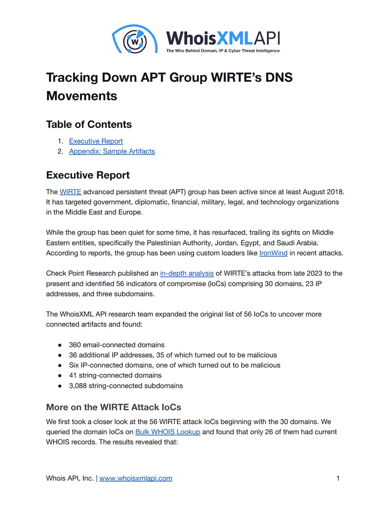 Analysis of WIRTE APT Group DNS Activities