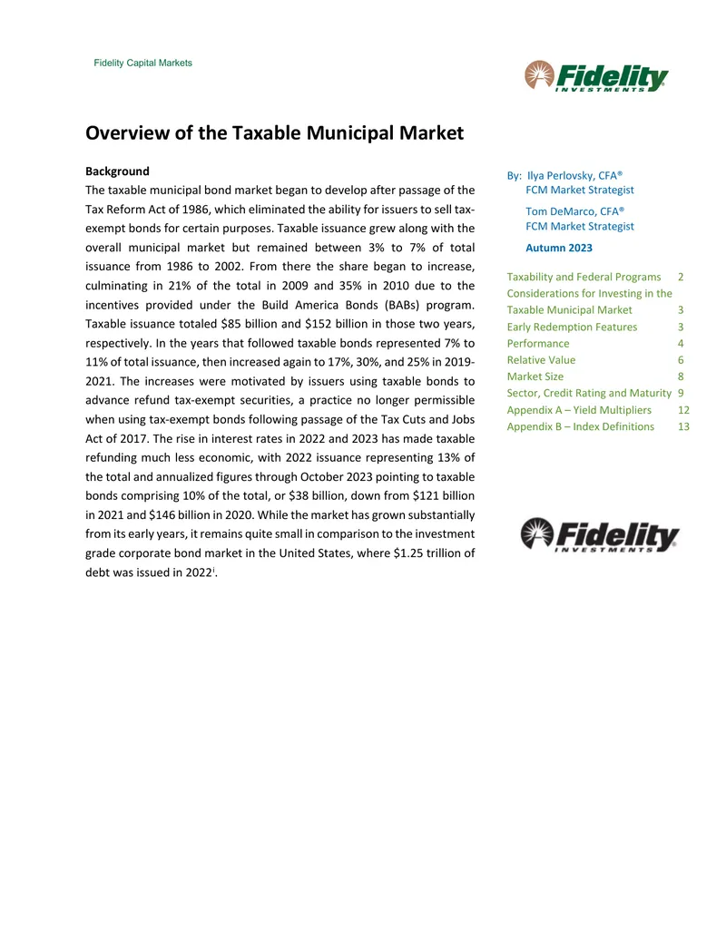 Overview of the Taxable Municipal Market