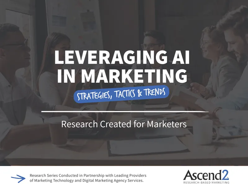 Leveraging AI in Marketing Survey Summary Report