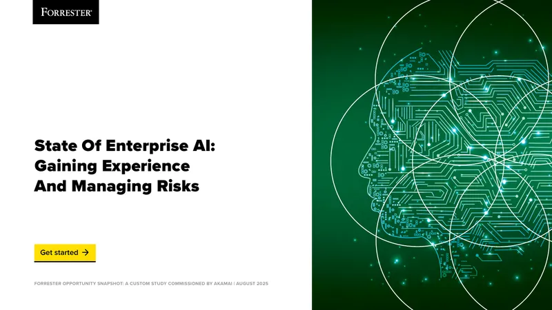 State of Enterprise AI: Gaining Experience and Managing Risks