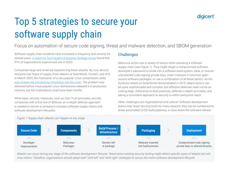 Strategies for Securing Software Supply Chains