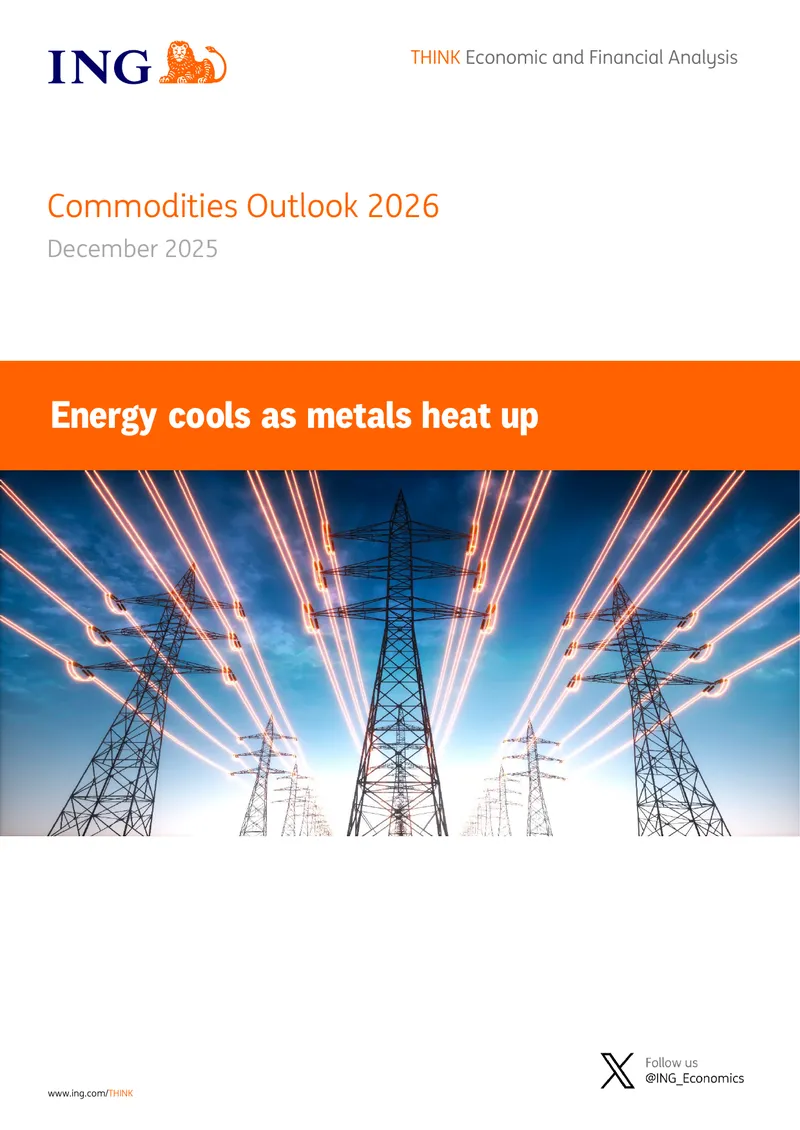 Commodities Outlook for 2026 Analysis