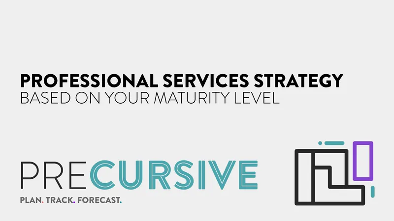 Professional Services Maturity Assessment Framework