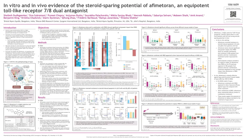 Steroid-Sparing Effects of Afimetoran in SLE Models