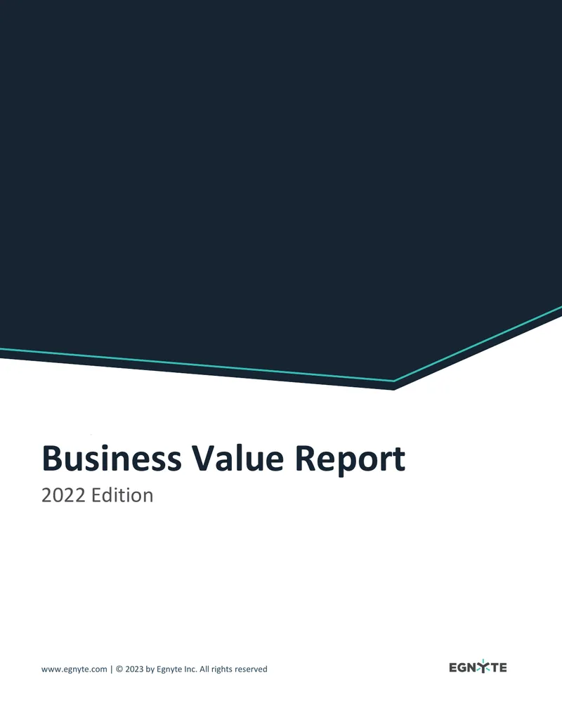 Business Value Assessment Process Overview