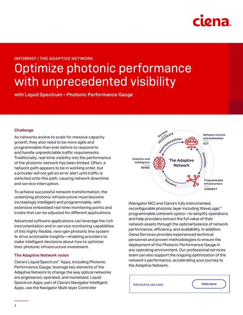 Photonic Performance Optimization in Adaptive Networks