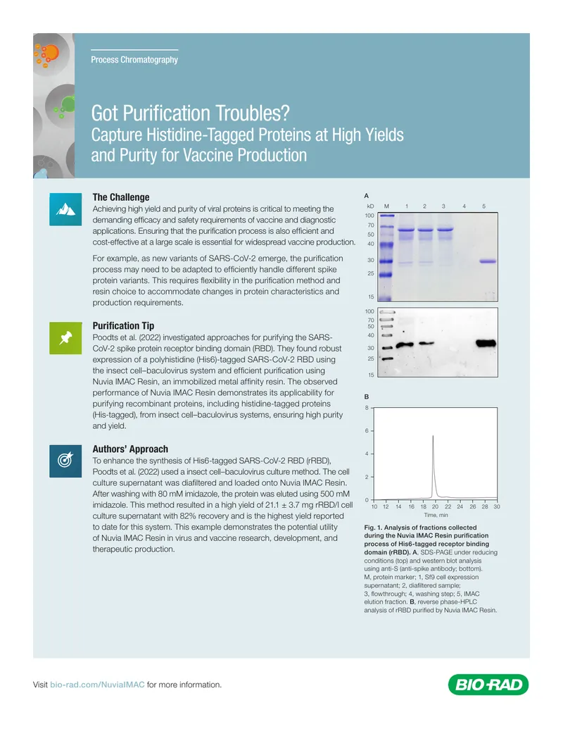 Histidine-Tagged Protein Purification for Vaccines