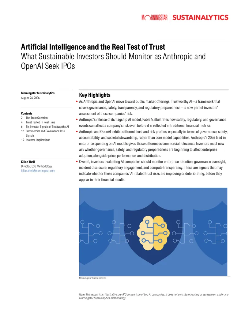 Trustworthy AI Assessment for Investors