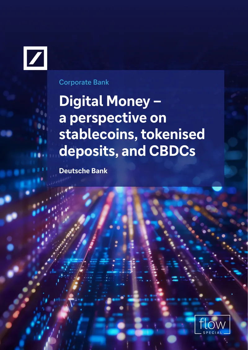Digital Money Perspective on Stablecoins and CBDCs