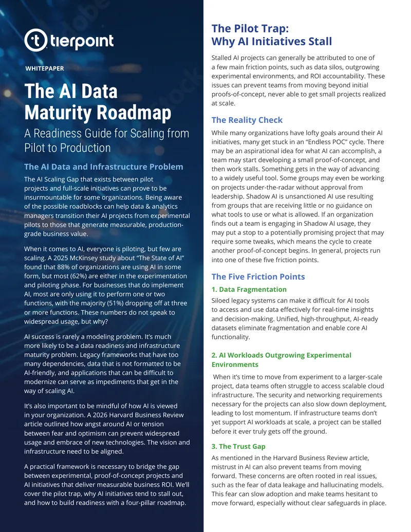 The AI Data Maturity Roadmap for Scaling Initiatives