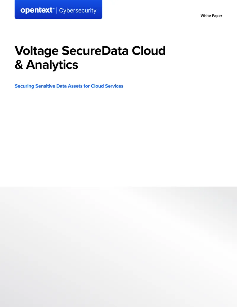 Voltage SecureData Cloud and Analytics Overview