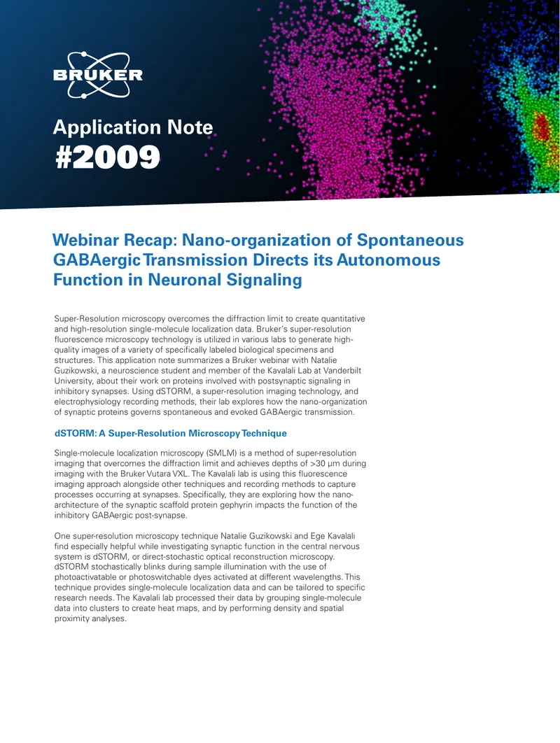Nano-organization of GABAergic Transmission in Neuronal Signaling