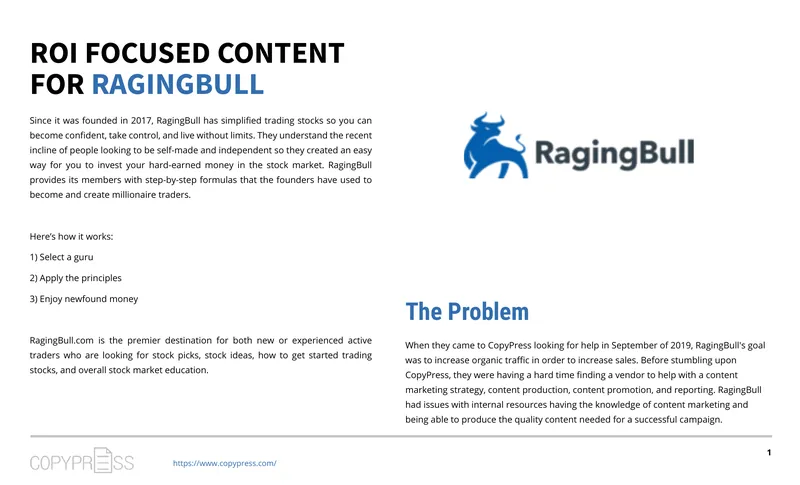 Content Marketing Strategy for RagingBull