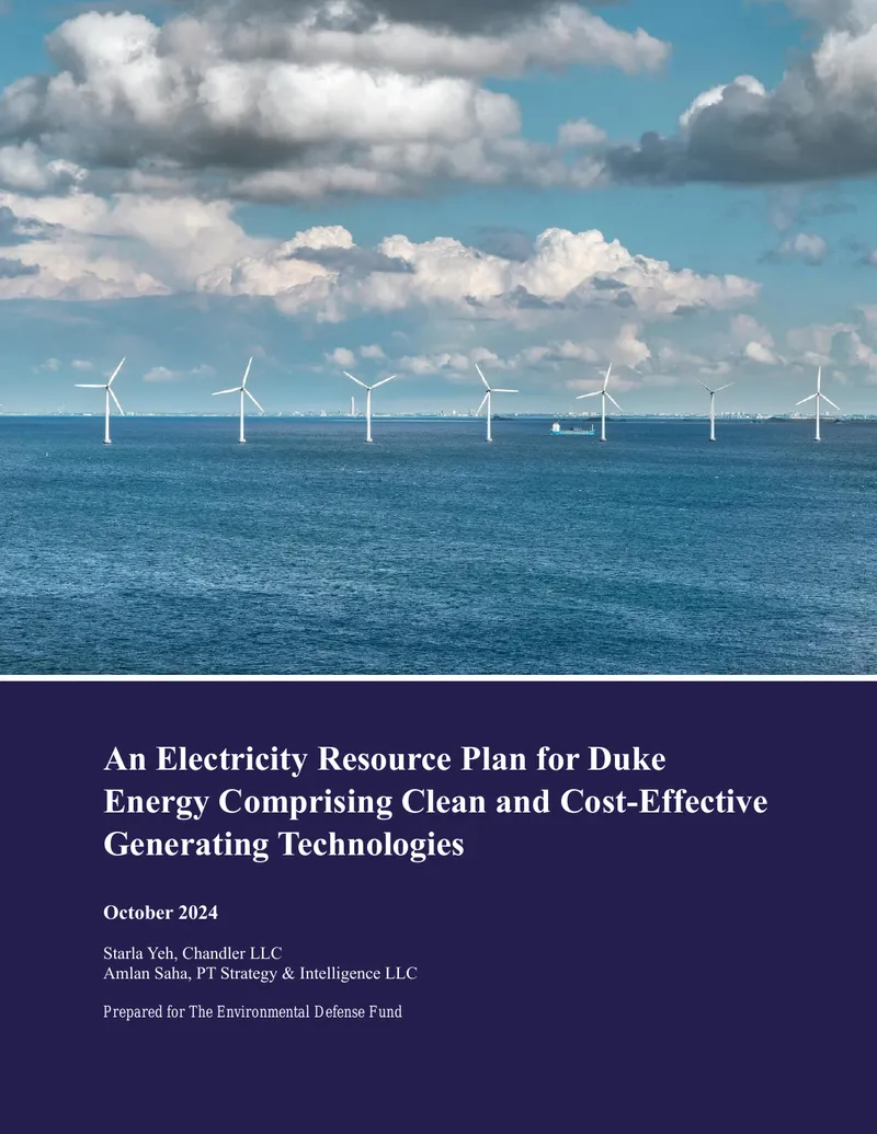Electricity Resource Plan for Duke Energy