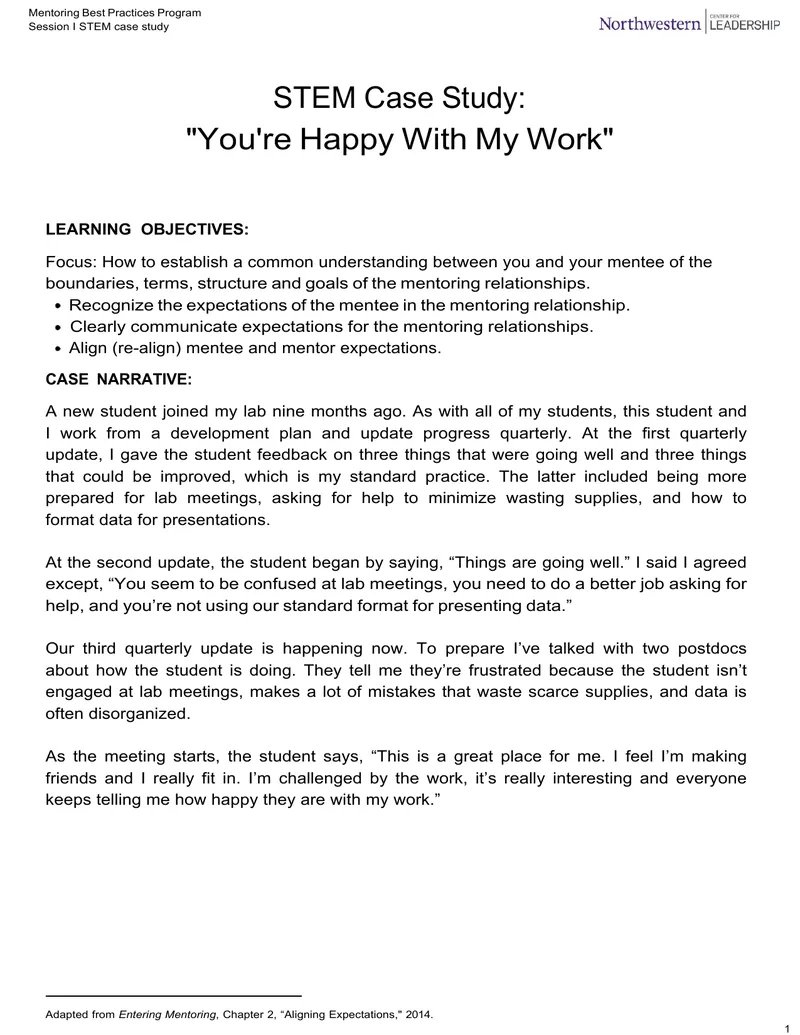 Mentoring Best Practices Program Case Study