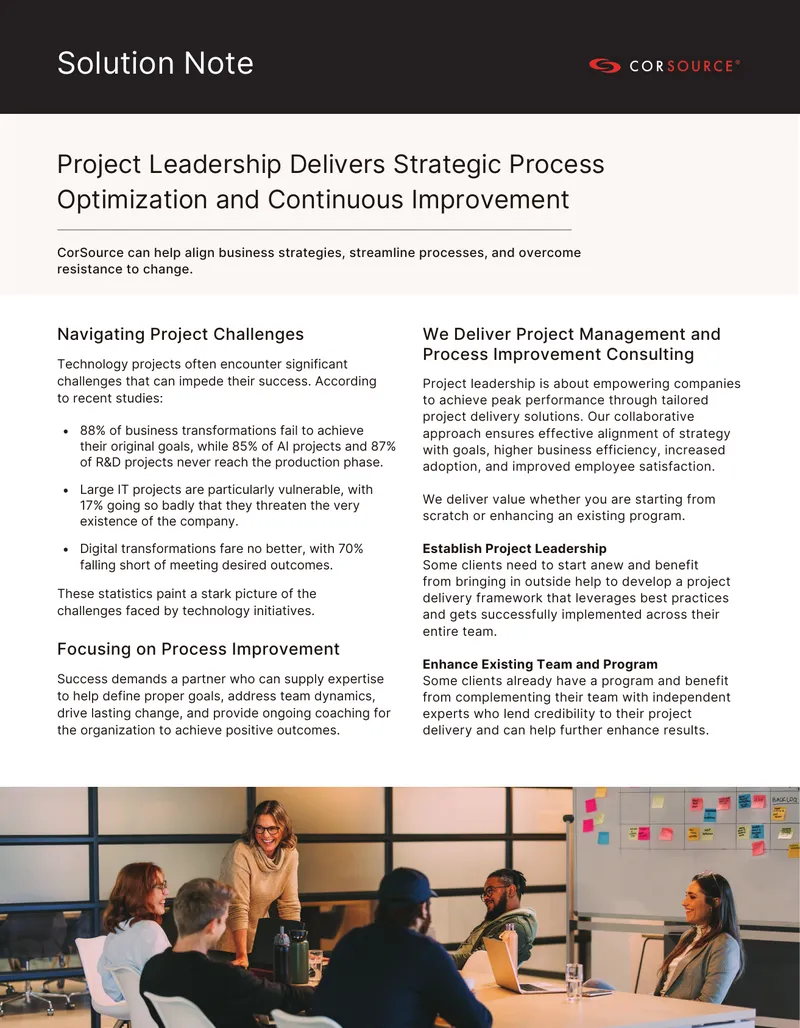 Project Leadership and Process Improvement Consulting