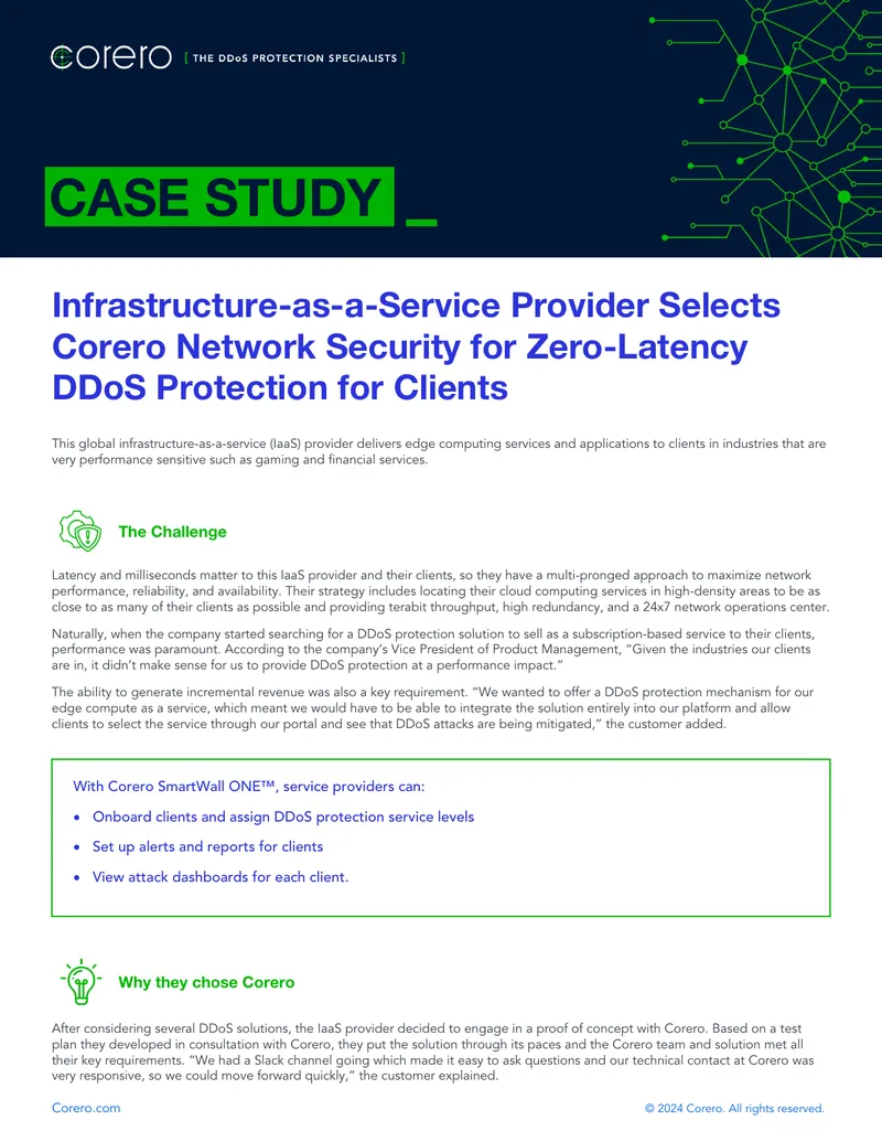 Infrastructure-as-a-Service Provider DDoS Protection Case Study