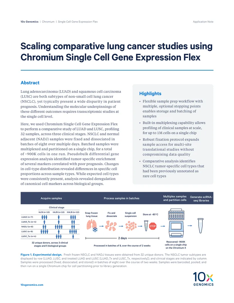 Comparative Study of Lung Cancer Subtypes Using Single Cell Analysis