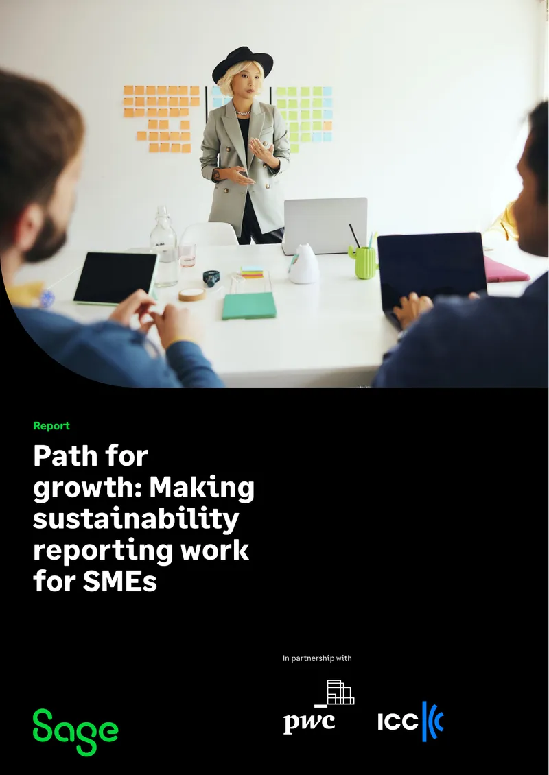 Path for Growth in Sustainability Reporting for SMEs