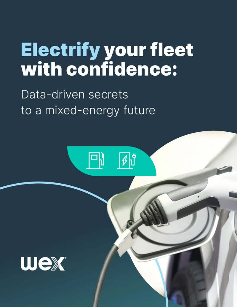 Data-Driven Strategies for Fleet Electrification