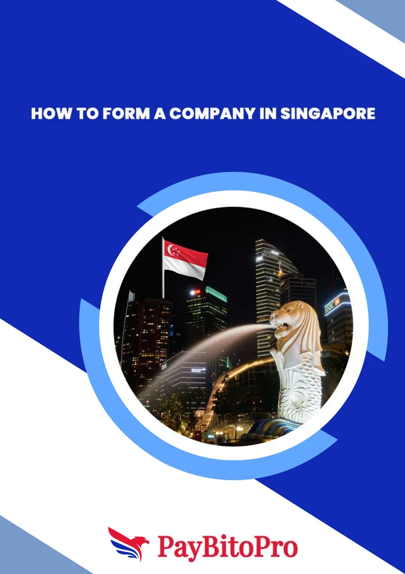 Guide to Company Registration in Singapore