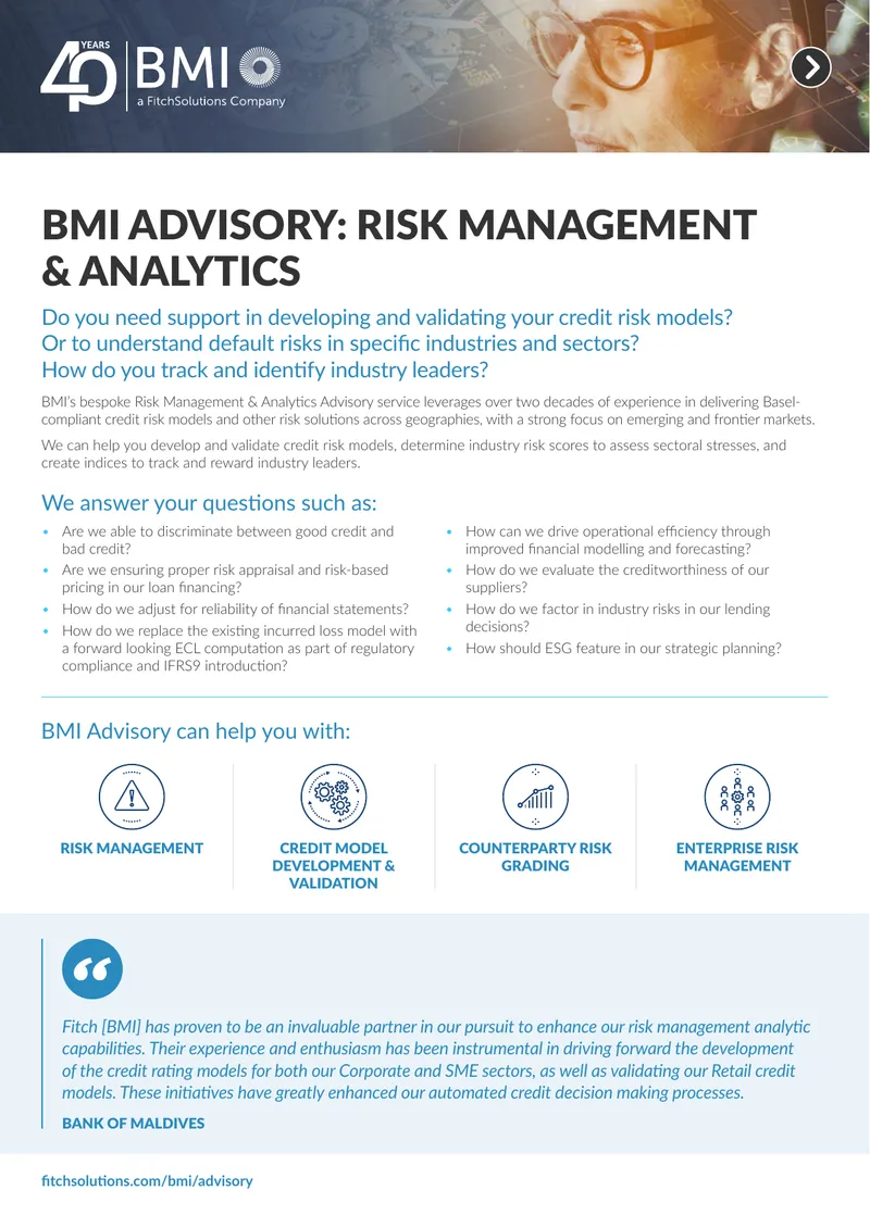 Risk Management and Analytics Advisory Services