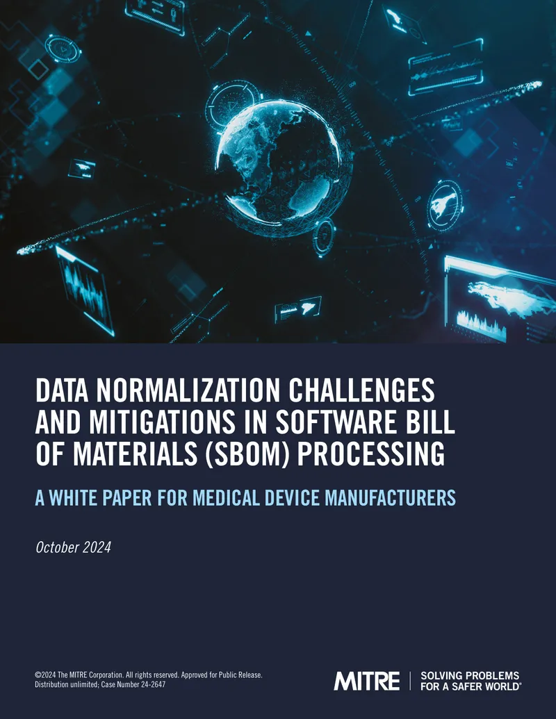 Data Normalization Challenges in SBOM Processing