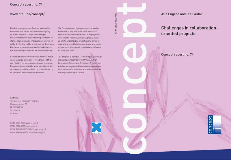 Challenges in Collaboration-Oriented Projects