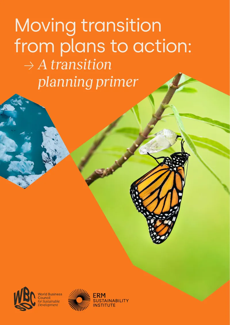 Transition Planning Primer for Business Operations