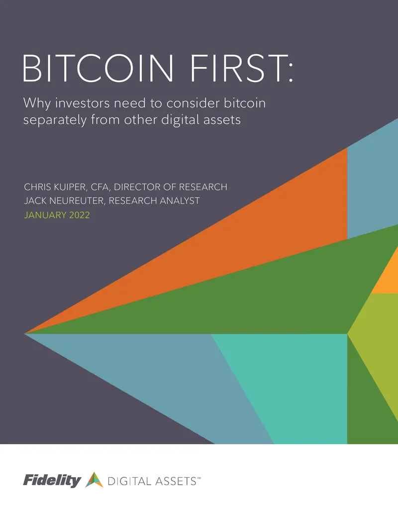 Bitcoin Considered as a Distinct Digital Asset
