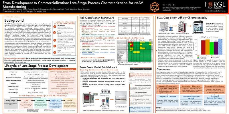 Late-Stage Process Characterization for rAAV Manufacturing