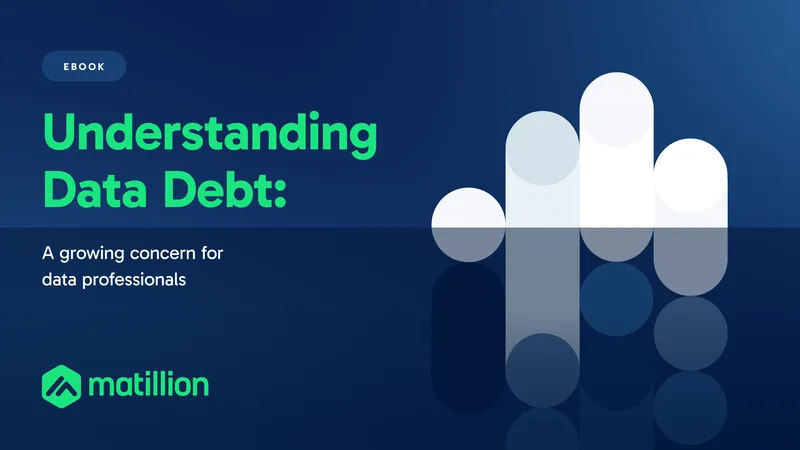Understanding Data Debt for Data Professionals