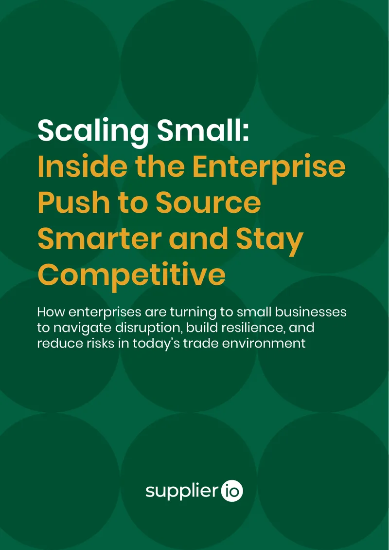 Small Suppliers in Enterprise Sourcing Strategies