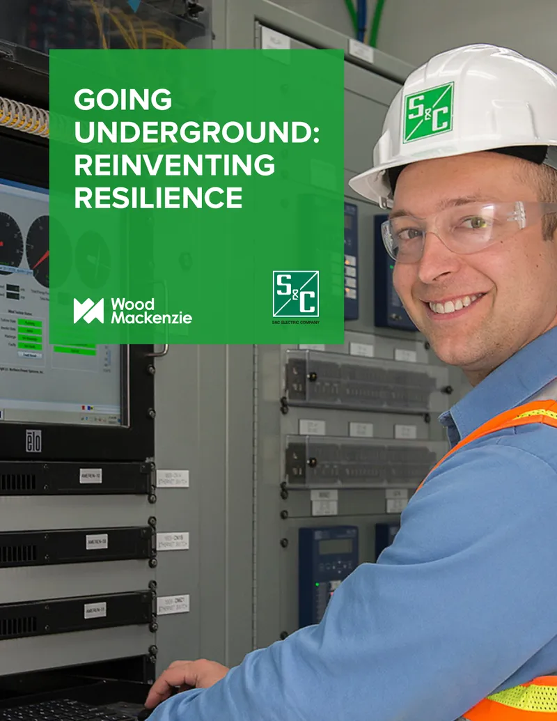 Reinventing Resilience in Electrical Infrastructure