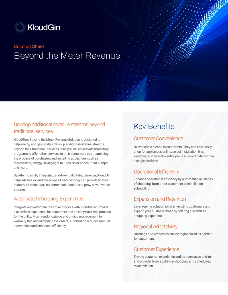 Beyond the Meter Revenue Solution Overview