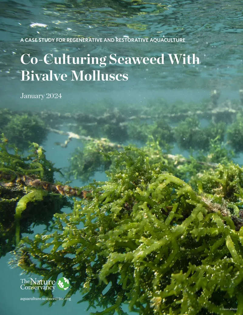 Case Study on Co-Culturing Seaweed and Bivalve Molluscs preview page 1
