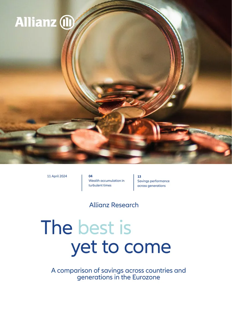 Wealth Accumulation in the Eurozone preview page 1