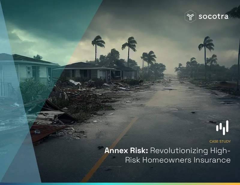 Annex Risk Case Study on High-Risk Homeowners Insurance
