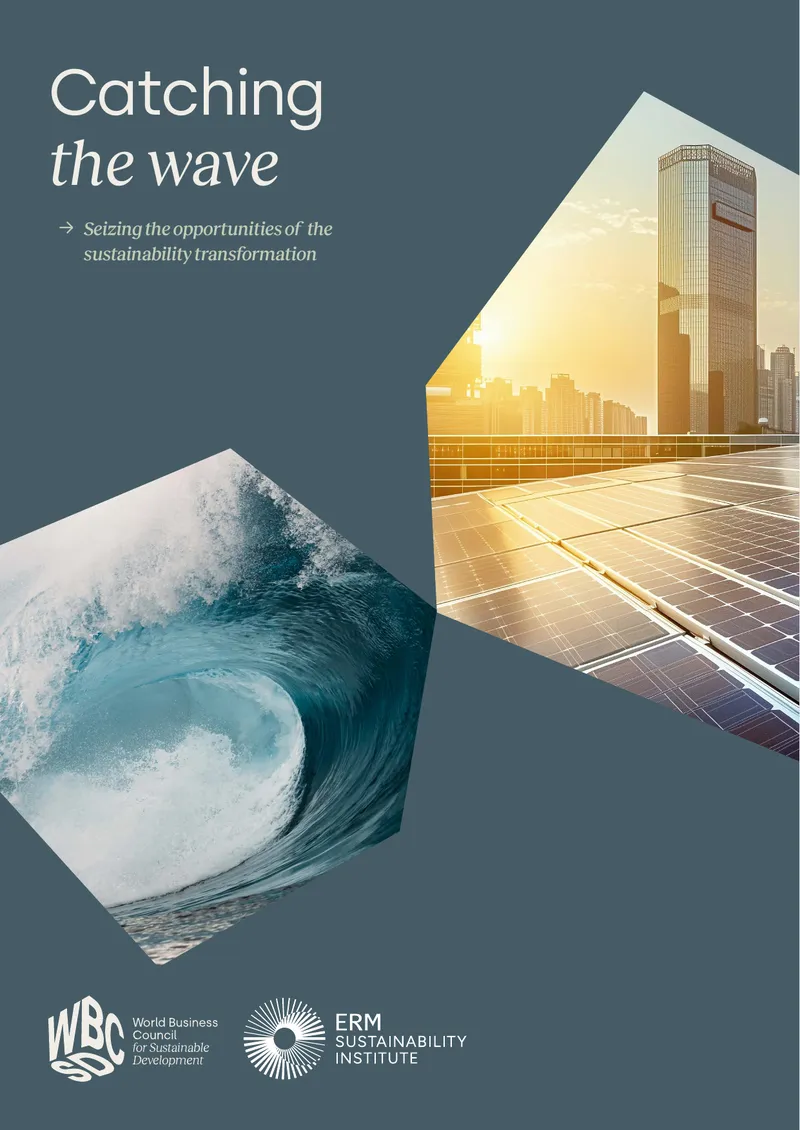 Catching the Wave Sustainability Transformation Guidance