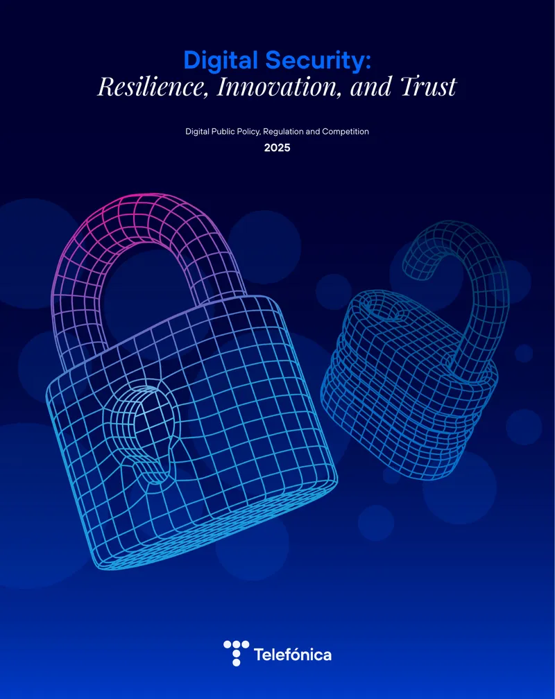 Digital Security Resilience and Public Policy Recommendations