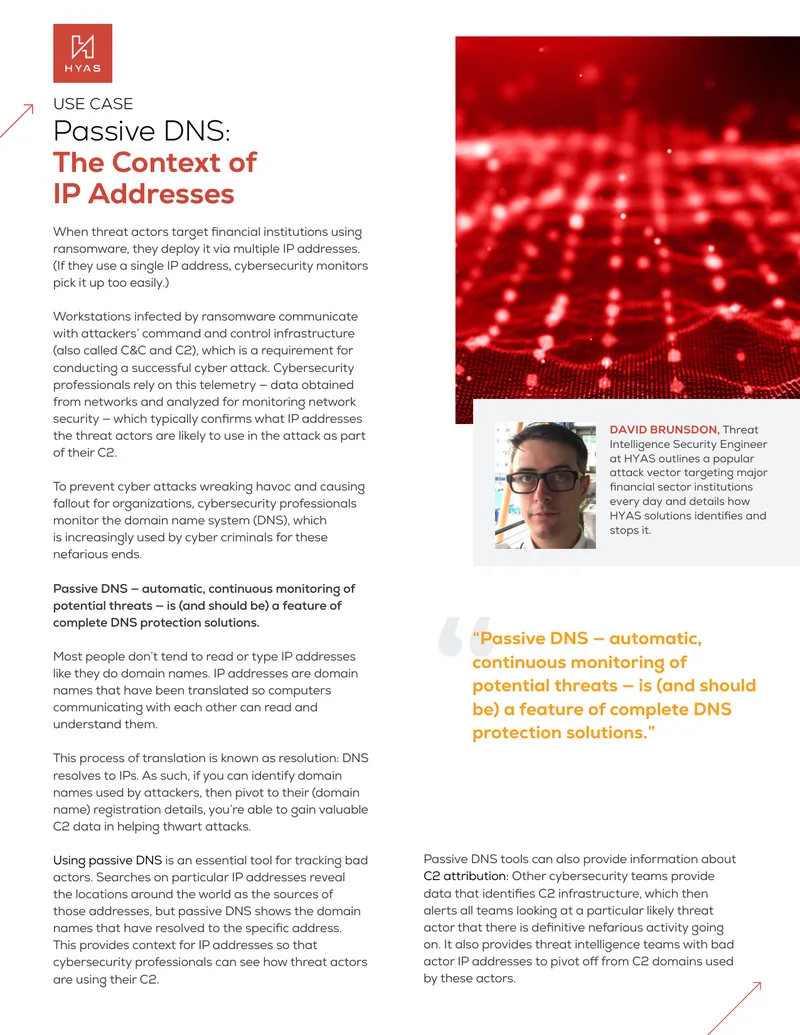 Passive DNS Monitoring for Cyber Threats