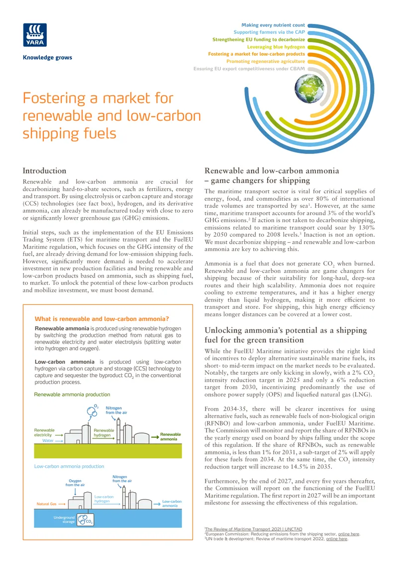 Renewable and Low-Carbon Ammonia for Shipping