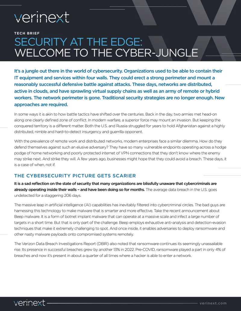 Cybersecurity Challenges and Edge Security Solutions